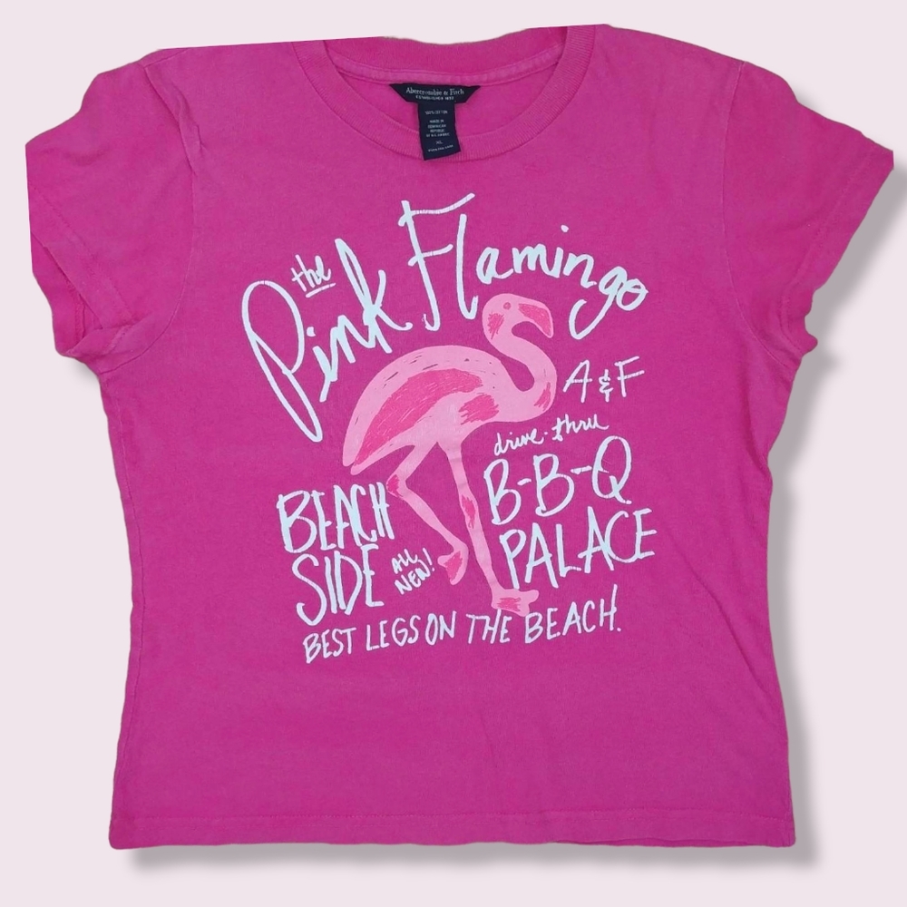 Abercrombie & Fitch | Hot Pink Y2k Graphic Vintage Crewneck T-Shirt XL (SNUG)